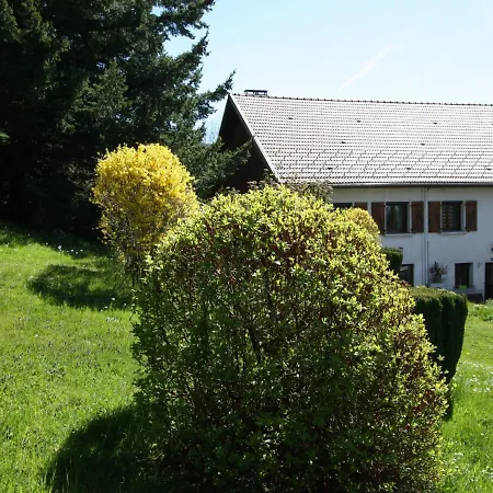 Gite A Avec Cour, Parking Et Animaux Admis - Fr-1-589-81 * Fraize