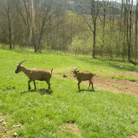 Gite A Avec Cour, Parking Et Animaux Admis - Fr-1-589-81 Vakantiehuis